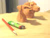 art_cucchi_cis&p.jpg (75091 byte)