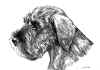 art_cucciolo schnauzer.jpg (408850 byte)
