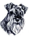 art_ritratto Otis Zna.jpg (277227 byte)