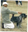 Jack_Expocanina_Cuba_Marzo-09_II.jpg (149597 byte)
