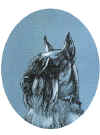 art_ritratto_Check to the King.jpg (62410 byte)