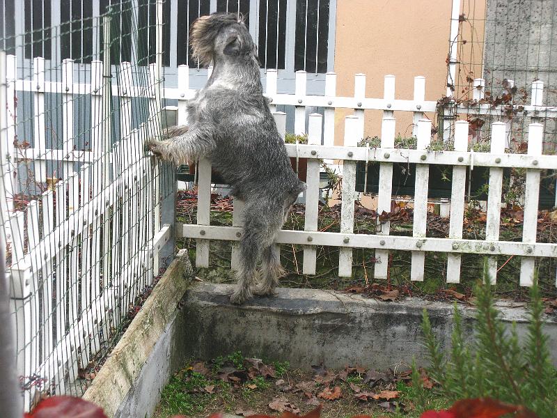 alb_capi_postino1.jpg