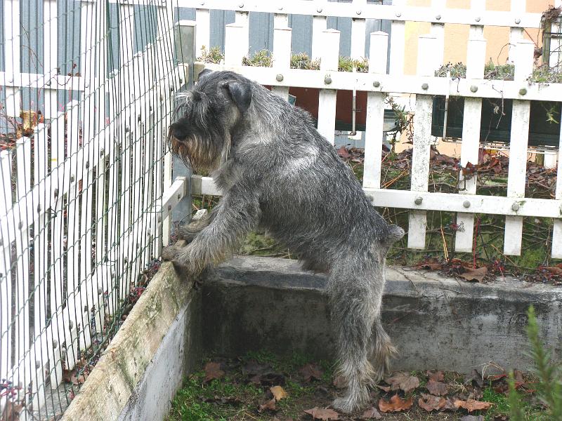 alb_capi_postino4.jpg
