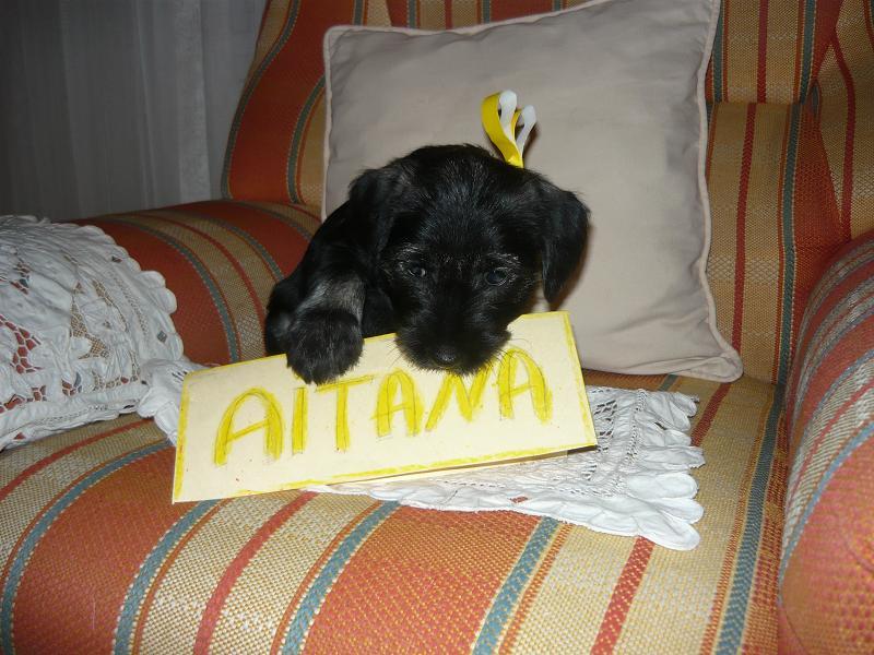 Aitana.jpg