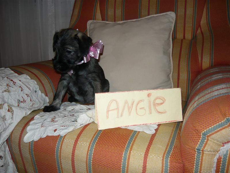 Angie.jpg