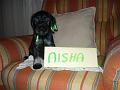 Aisha