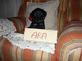 Ara