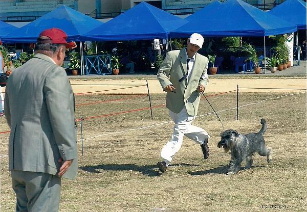 Jack_Expocanina_Cuba_Marzo-09_III
