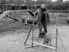 2015 ott agility_start.jpg (694026 byte)