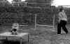 2015 ott agility_tavolo.jpg (550423 byte)