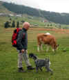Gillo in Trentino 2013 sett_alpeggio.jpg (133557 byte)