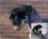 Frida Gina.jpg (491158 byte)