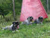 Gadn 2013 ago 25 maman e sorella.jpg (302350 byte)