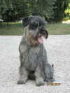 Gillo 2013 8 19 sitz.jpg (494930 byte)