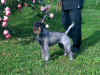 Greta 2013 giugno_9mesi 2.jpg (549655 byte)
