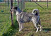 alb_F Finnegan I gennaio 2013 0.jpg (519288 byte)