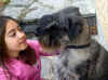 alb_Fruscio apr 2013.jpg (627745 byte)