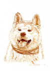 art_Penna d'oca_Pack.jpg (166150 byte)