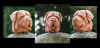 art_cucchi_mastino_panoramica.JPG (204508 byte)