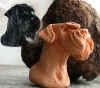 art_cucco_ritratto Zarina Mia.jpg (464056 byte)