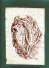 art_mastino inchiostro.JPG (104413 byte)