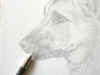 art_punta d'argento part IMG_5229.jpg (348978 byte)