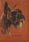 art_ritratto_Chak_web.jpg (138532 byte)