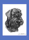 art_ritratto_Riesen Didi.jpg (156552 byte)