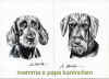 art_ritratto_bassotti kaninchen.jpg (222189 byte)