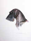 art_ritratto bassotto inch color.jpg (180752 byte)