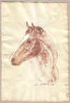 art_ritratto cavallina.jpg (24599 byte)