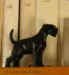 art_schnauzer_statuina2010con libri.jpg (102594 byte)