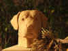 Ruffo terracotta frontale.jpg (48925 byte)