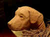 Ruffo terracotta sfondo scuro2.jpg (55945 byte)