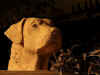Ruffo terracotta sfondo scuro.jpg (56460 byte)