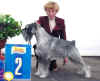 Uti_Top Target Unison2.jpg (171369 byte)