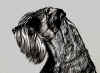 art_Fado_ritratto.jpg (428176 byte)