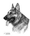 art_Lothar ritratto.jpg (25626 byte)