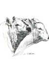 art_chianina.JPG (75168 byte)