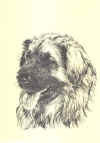 art_leonberger poster.JPG (31391 byte)