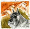 art_ritratto Caesar.jpg (762903 byte)