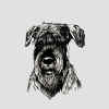 art_ritratto_Carmen Phoebe.jpg (269909 byte)