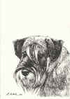 art_ritratto Mia.jpg (917928 byte)
