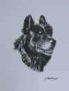 art_ritratto_Rocco.JPG (366306 byte)