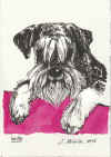 art_ritratto Wally di Lidia.jpg (3697695 byte)