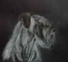 art_ritratto_Zaerskild Arg.jpg (751740 byte)