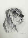art_ritratto Zarin.jpg (4064061 byte)
