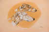art_ritratto galgos muchachos.JPG (606119 byte)