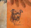 art_ritrattostaffy_cuoio.jpg (27826 byte)