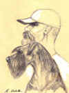 art_schnauzerday.jpg (24247 byte)